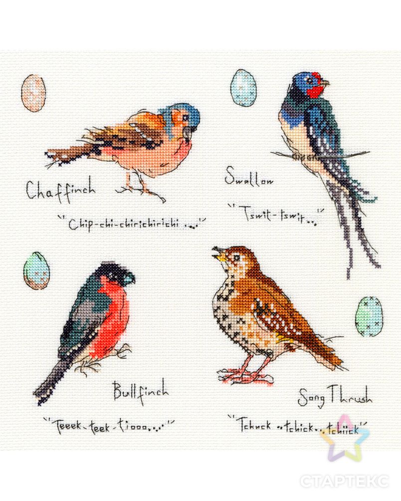 Набор для вышивания "Garden Birds 3" (Птицы 3) арт. ГЕЛ-10437-1-ГЕЛ0115232 1