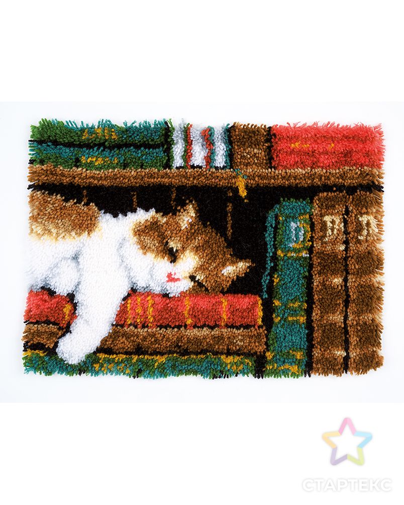 Набор для вышивания коврика "Кот на книжной полке" арт. ГЕЛ-6169-1-ГЕЛ0117044