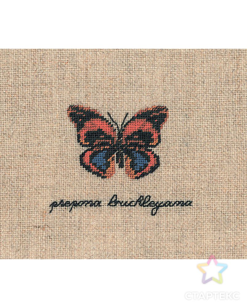 Набор для вышивания:"PAPILLON PREPONA BUCKLEYANA" (Бабочка PREPONA BUCKLEYANA) арт. ГЕЛ-10534-1-ГЕЛ0163931