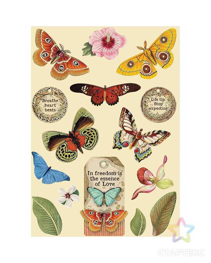 Набор высеченных декоративных элементов "Амазония - бабочка" арт. ГЕЛ-14943-1-ГЕЛ0168515 1