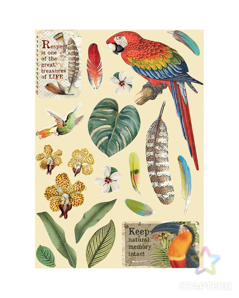 Набор высеченных декоративных элементов "Амазония - попугай" арт. ГЕЛ-13925-1-ГЕЛ0168517 1