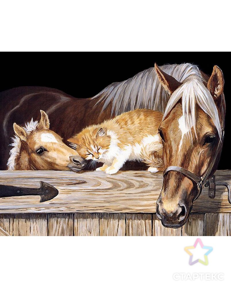 Картина стразами "Лошадь, жеребенок и рыжий кот" арт. ГЕЛ-26621-1-ГЕЛ0173923 1