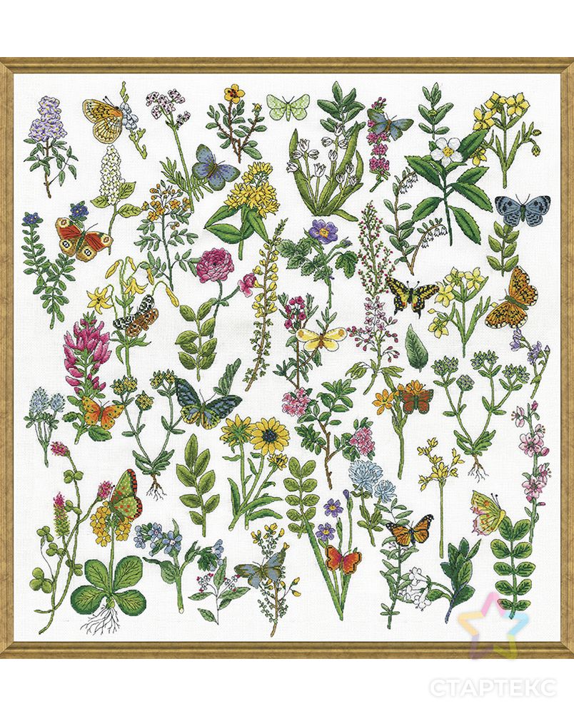 Набор для вышивания "Красота Ботаники" арт. ГЕЛ-26718-1-ГЕЛ0173991 1
