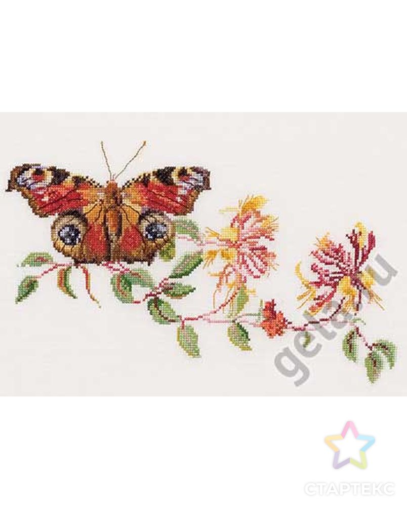 Набор для вышивания "Бабочка-Жимолость", канва аида 18 ct арт. ГЕЛ-20403-1-ГЕЛ0035010 1