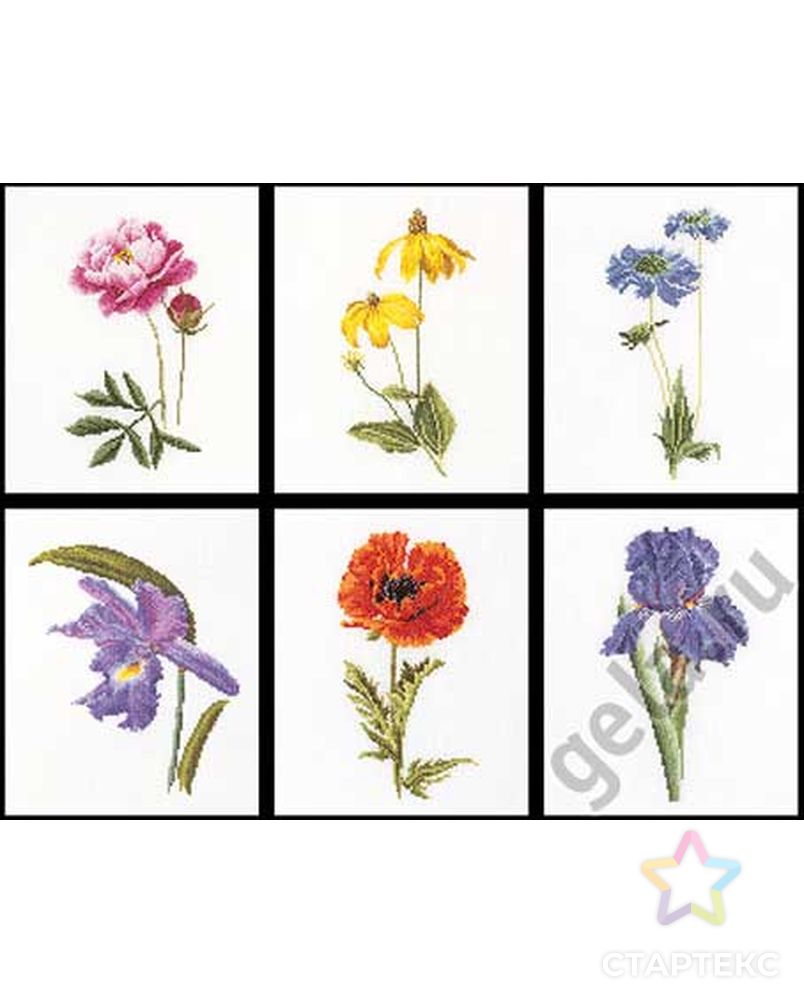 Набор для вышивания "Шесть цветочных исследований", канва лён 36 ct арт. ГЕЛ-17193-1-ГЕЛ0035078 1