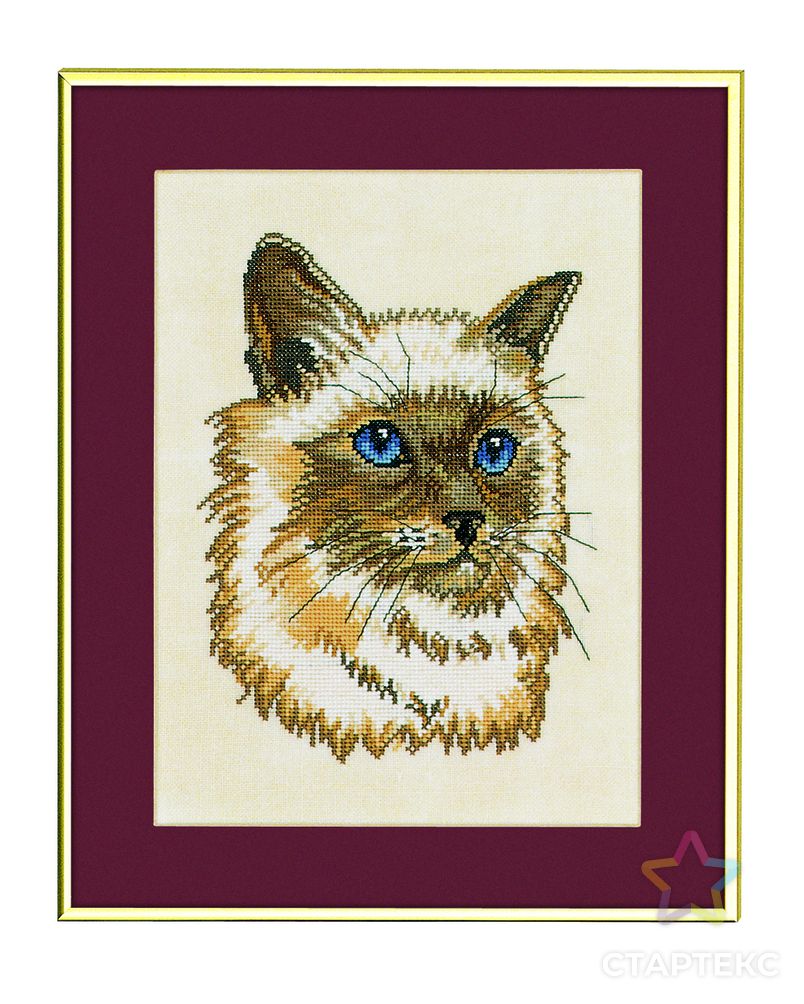 Набор для вышивания "Персидский кот" арт. ГЕЛ-19548-1-ГЕЛ0005835 1