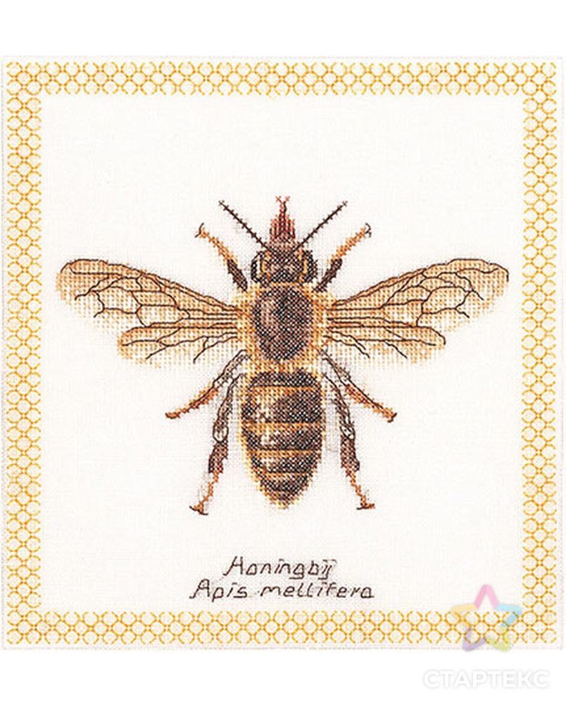 Набор для вышивания "Медоносная пчела", канва лён 32 ct арт. ГЕЛ-15265-1-ГЕЛ0063017 1