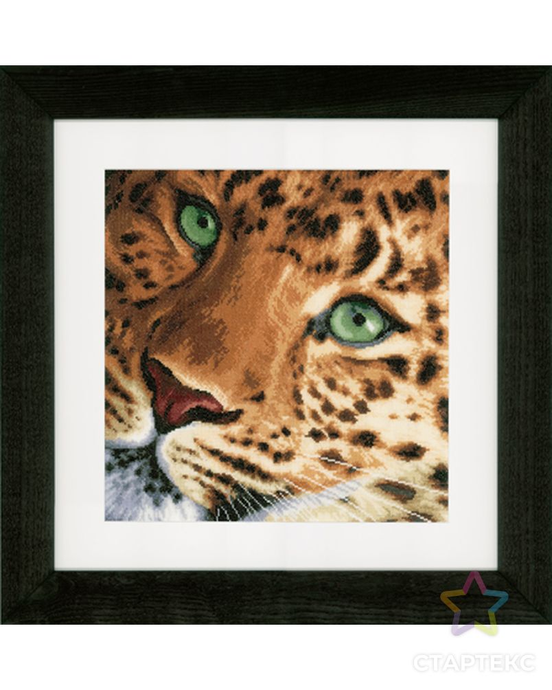 Набор для вышивания "Leopard" арт. ГЕЛ-17589-1-ГЕЛ0086734 1