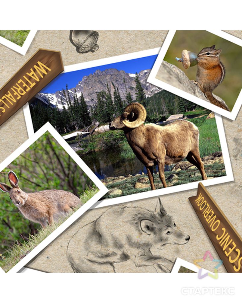 Ткани QUILTING TREASURES коллекция Our National Parks арт. ГЕЛ-17844-1-ГЕЛ0096006 1