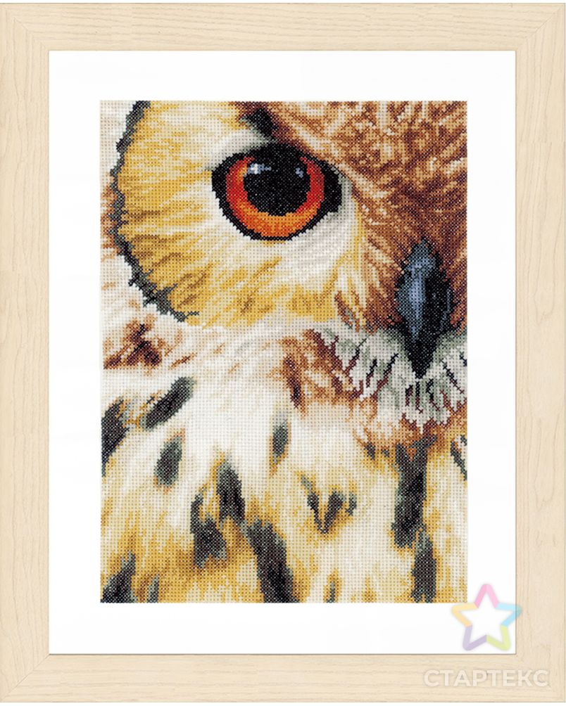 Набор для вышивания "Owl" арт. ГЕЛ-11475-1-ГЕЛ0098628 1