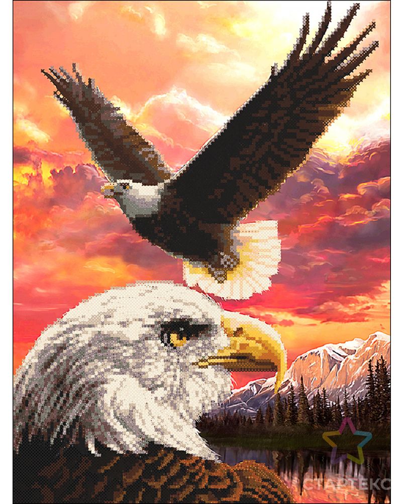 Картина стразами "Белоголовые орланы" арт. ГЕЛ-792-1-ГЕЛ0166080 1