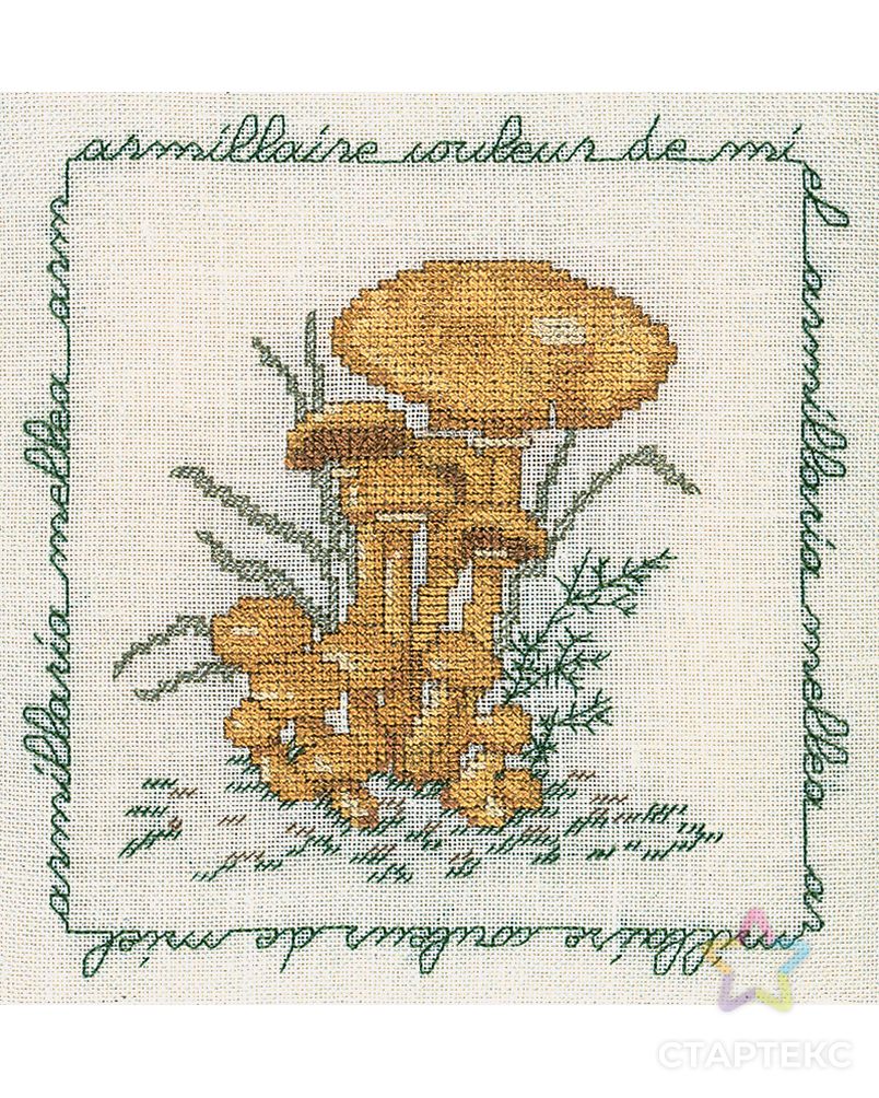 Набор для вышивания:"ARMILLAIRE COULEUR DE MIEL" (Опёнок) арт. ГЕЛ-1655-1-ГЕЛ0163884 1