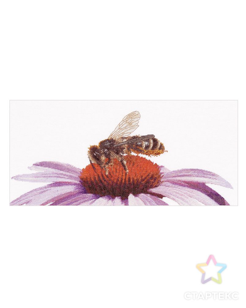 Набор для вышивания "Пчела на эхинацее", канва Aida 18 ct арт. ГЕЛ-8807-1-ГЕЛ0106718 1