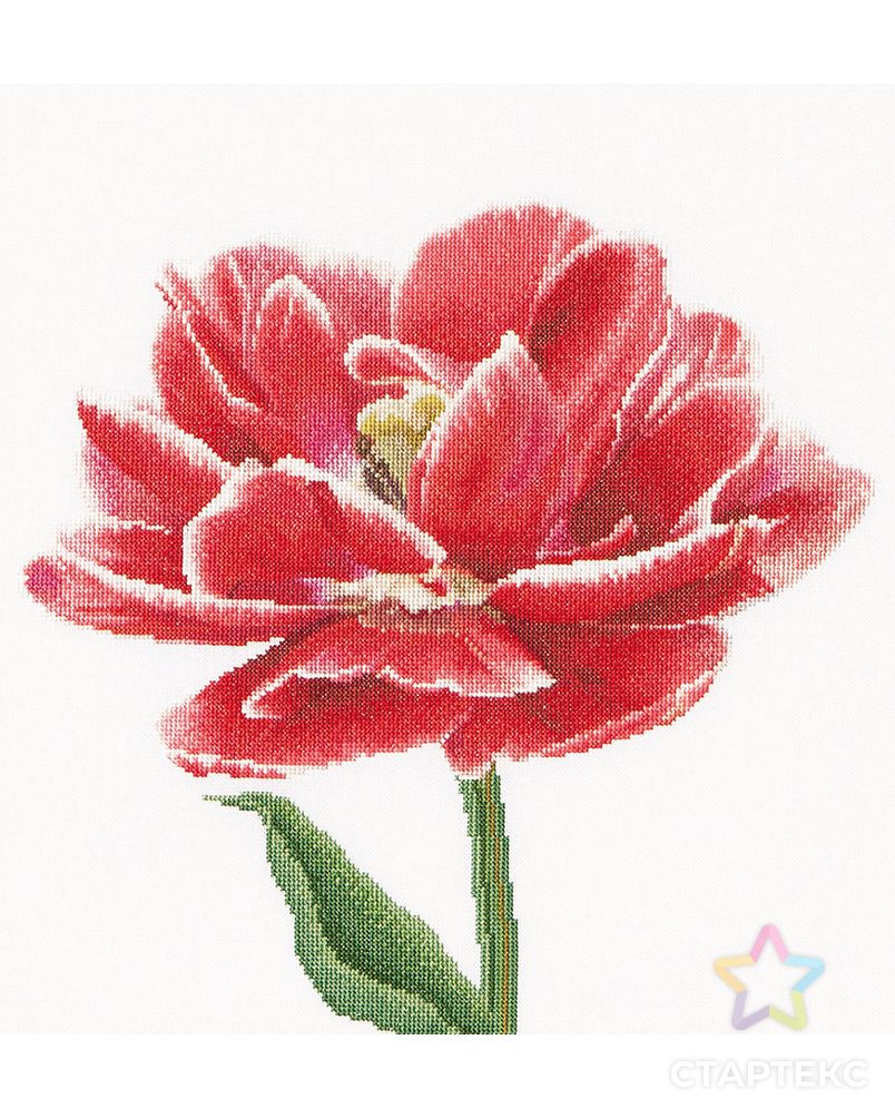 Набор для вышивания "Ранний красно-белый тюльпан", канва аида 18 ct арт. ГЕЛ-9828-1-ГЕЛ0124479 1