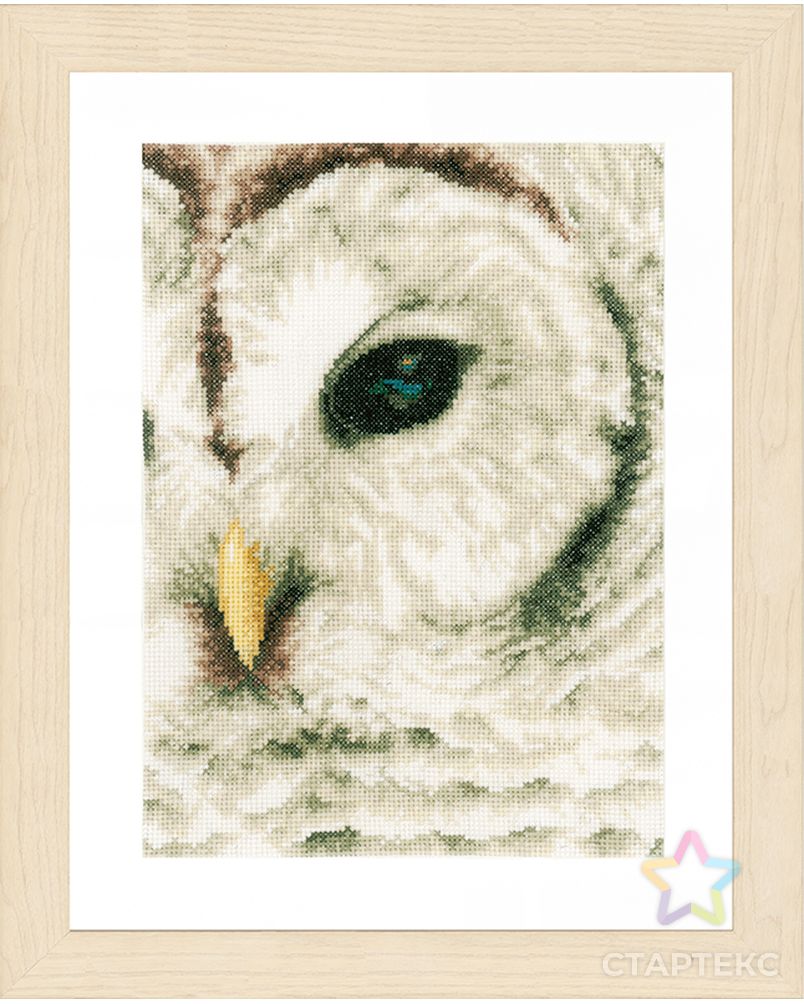 Набор для вышивания "Owl" арт. ГЕЛ-12072-1-ГЕЛ0111184 1