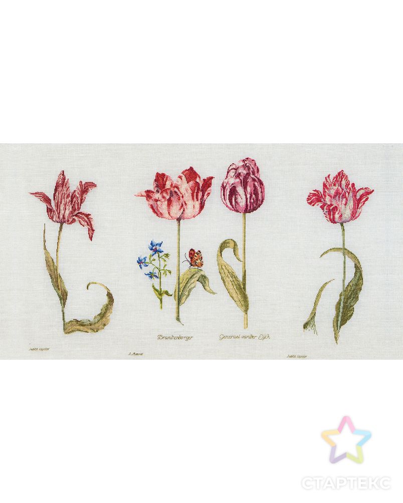 Набор для вышивания "Тюльпаны Джейкоба Маррель и Джудит Лейстер, 16-й век", канва лён 36 ct арт. ГЕЛ-13555-1-ГЕЛ0113726 1