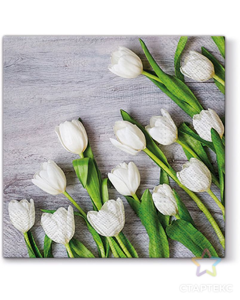 Салфетки трехслойные для декупажа, коллекция "Lunch" PAW Decor Collection "Белые тюльпаны" арт. ГЕЛ-13639-1-ГЕЛ0137060 1