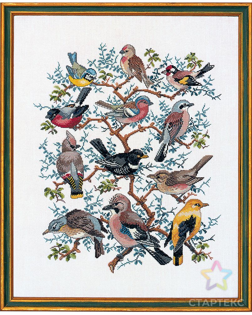 Набор для вышивания "Птичий парад" арт. ГЕЛ-14635-1-ГЕЛ0010319 1