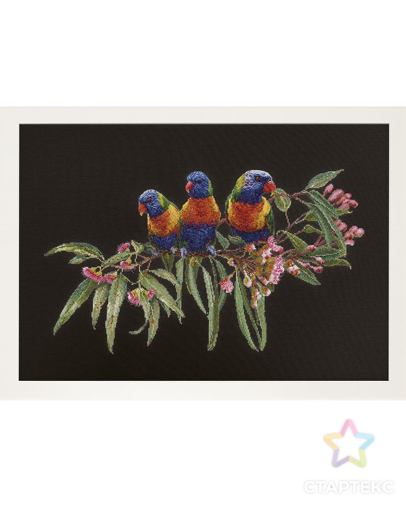 Набор для вышивания "Стайка попугаев", канва Aida (черная) 16 ct арт. ГЕЛ-14676-1-ГЕЛ0125408 1