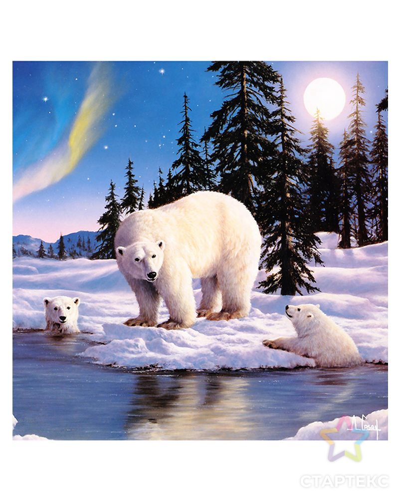Картина стразами "Медведи и северное сияние, Энтони Касай" арт. ГЕЛ-15531-1-ГЕЛ0161525 1