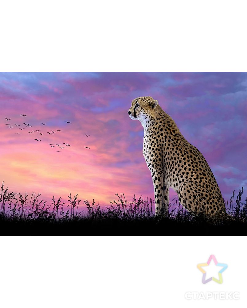 Картина стразами "Леопард на закате" арт. ГЕЛ-17291-1-ГЕЛ0162879 1