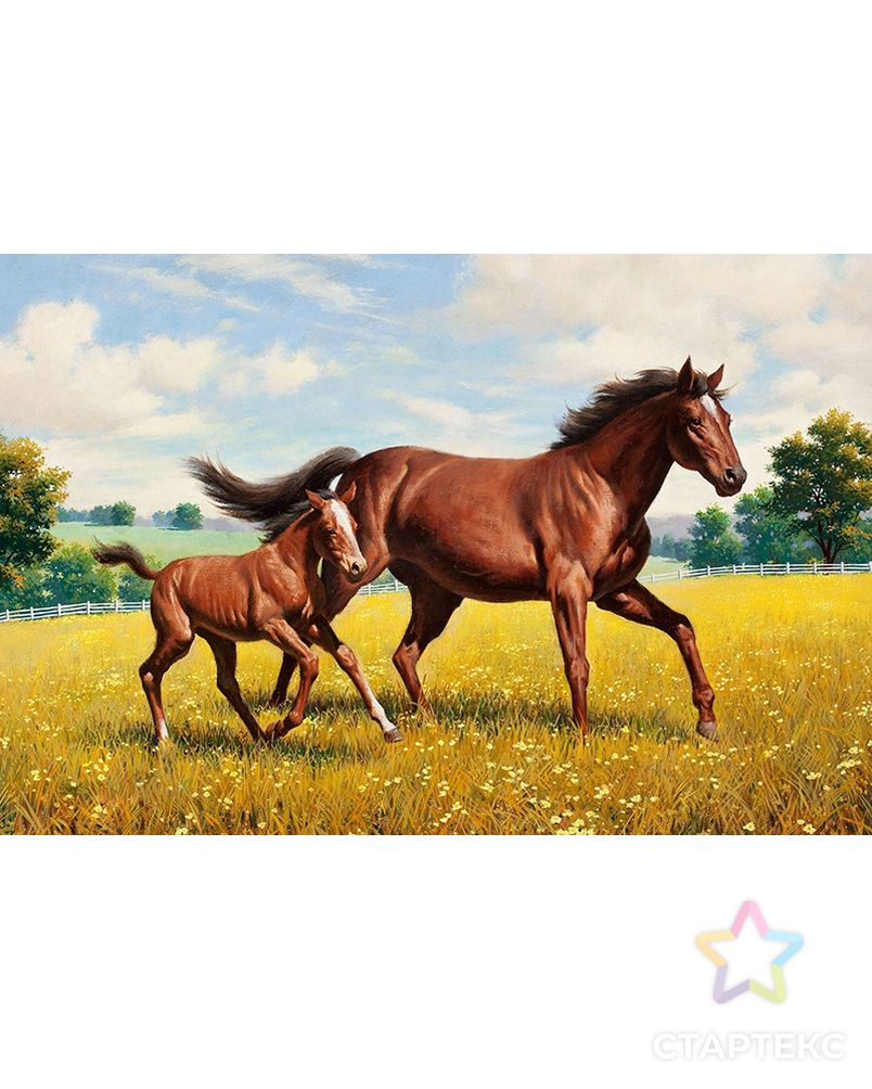 Картина стразами "Лошадь с жеребенком" арт. ГЕЛ-18122-1-ГЕЛ0162883 1