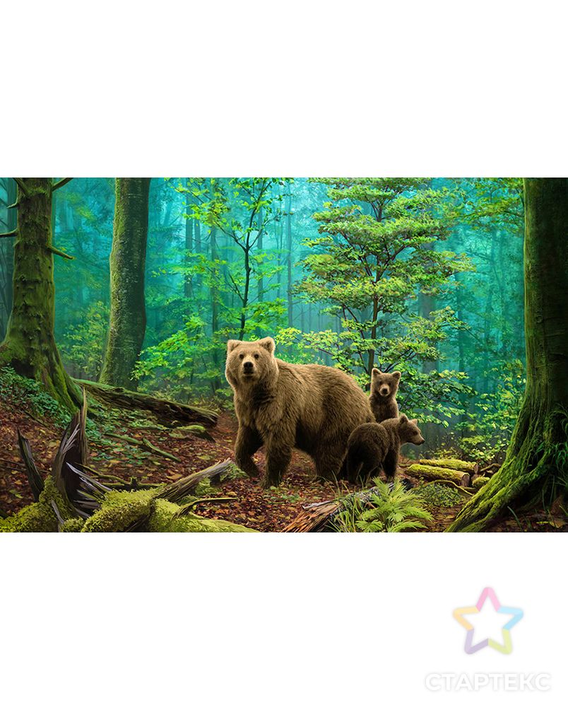 Картина стразами "Медведи в лесу" арт. ГЕЛ-18232-1-ГЕЛ0161448 1