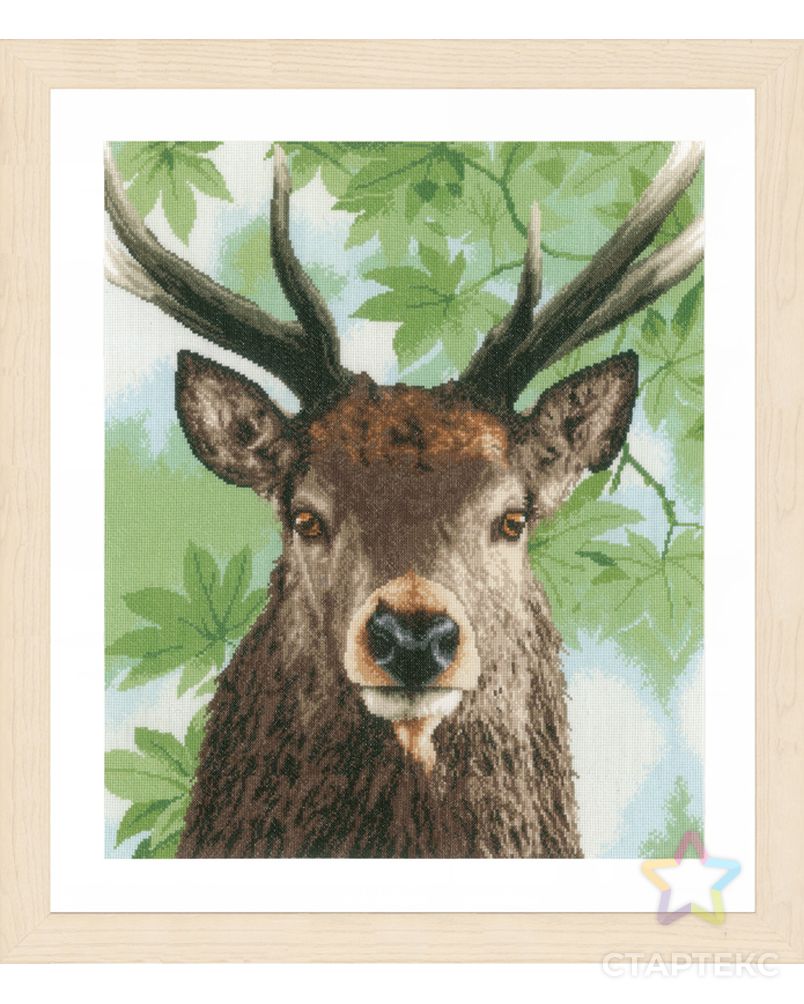 Набор для вышивания "Proud red deer" арт. ГЕЛ-20871-1-ГЕЛ0127837 1