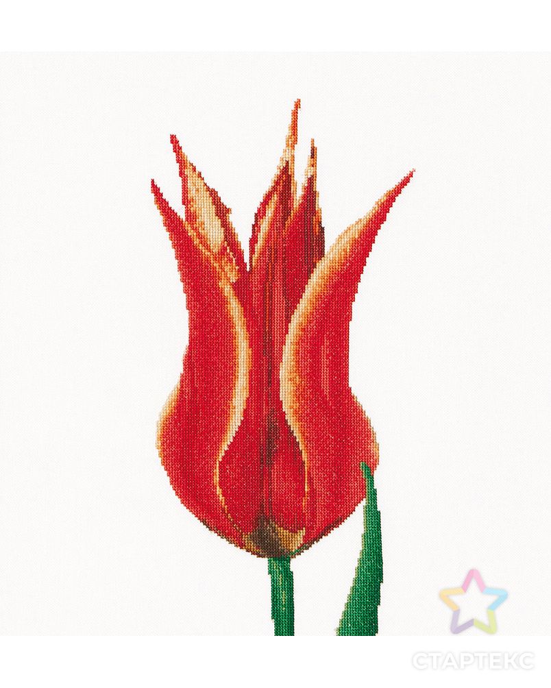 Набор для вышивания "Красный тюльпан", канва лён 36 ct арт. ГЕЛ-31174-1-ГЕЛ0113756 1