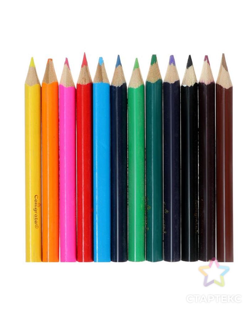 Карандаши Calligrata «Машинка», 12 цветов, МИНИ, корпус деревянный, треугольный арт. СМЛ-176728-1-СМЛ0001014637 6