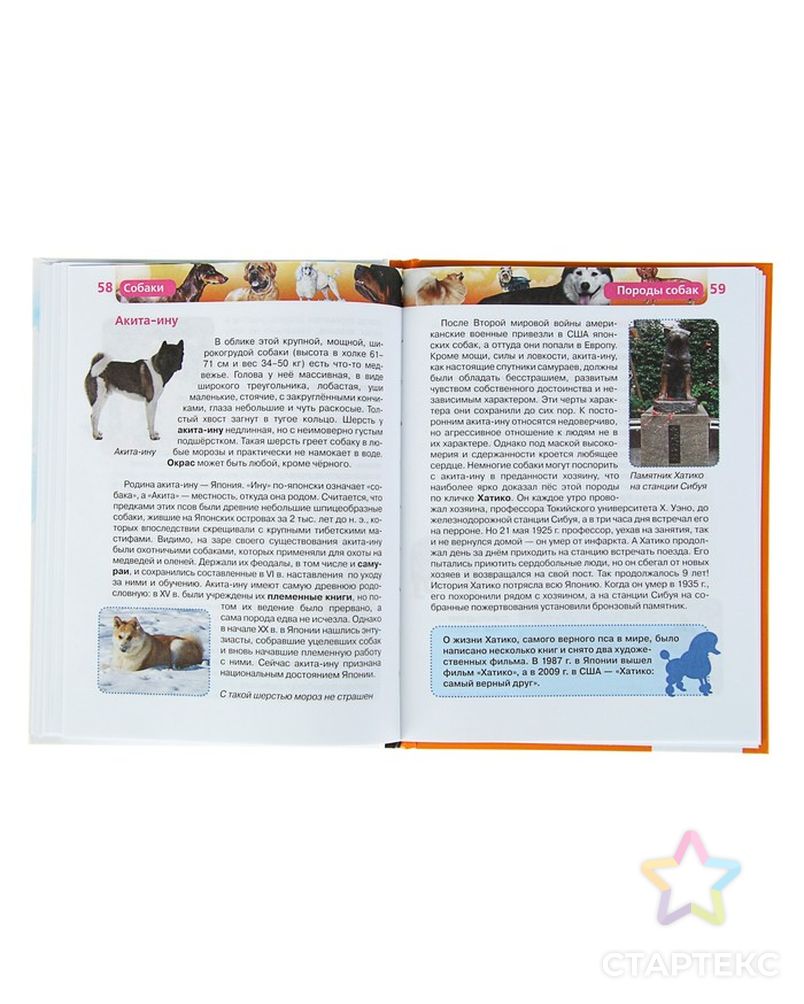 Детская энциклопедия «Собаки» арт. СМЛ-103227-1-СМЛ0001024773 3