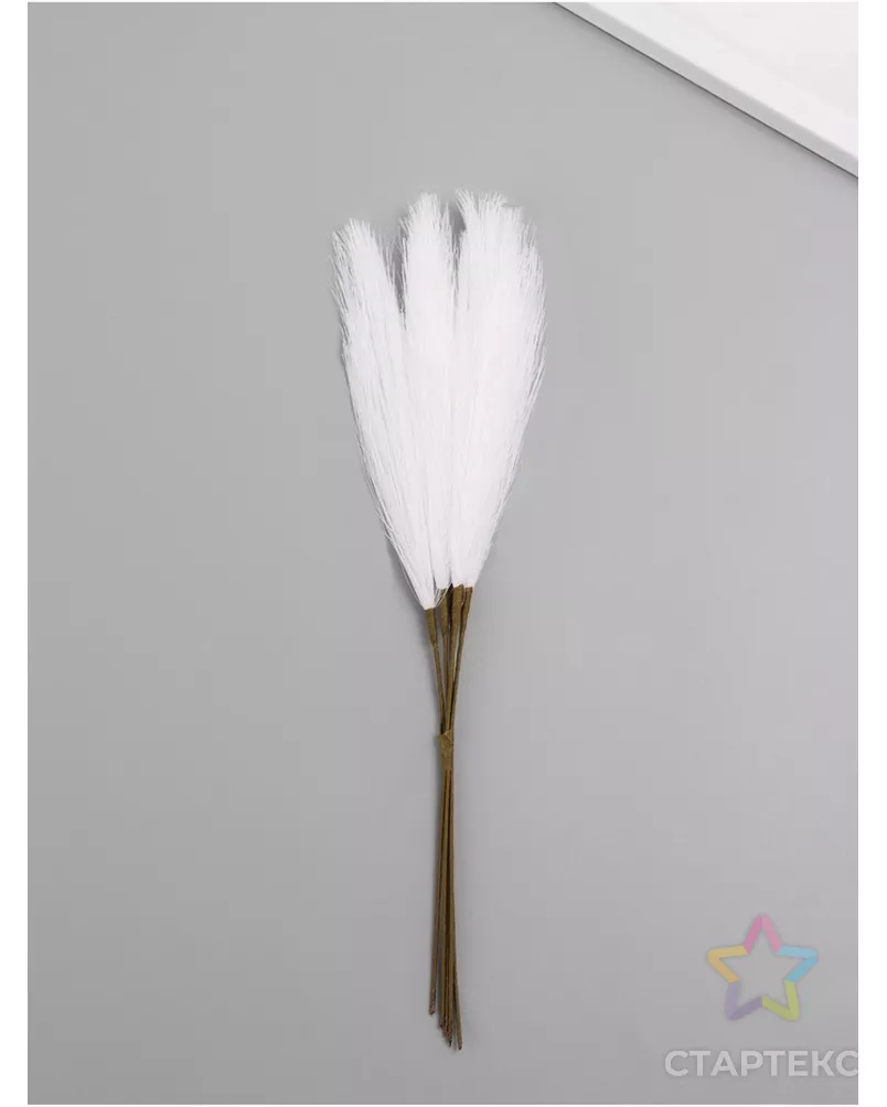 Искусственное растение для творчества "Ковыль" белый 29 см арт. СМЛ-270757-1-СМЛ0010705171 - рис. 1