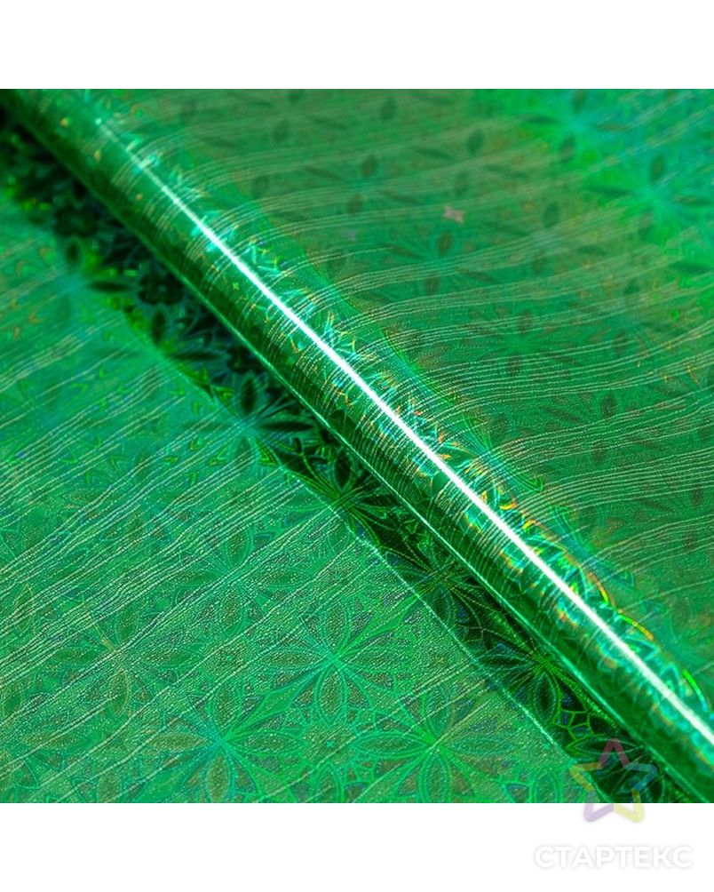 Пленка голография, зелёный, 70 х 100 см, рисунок МИКС арт. СМЛ-104150-1-СМЛ0001112807 1