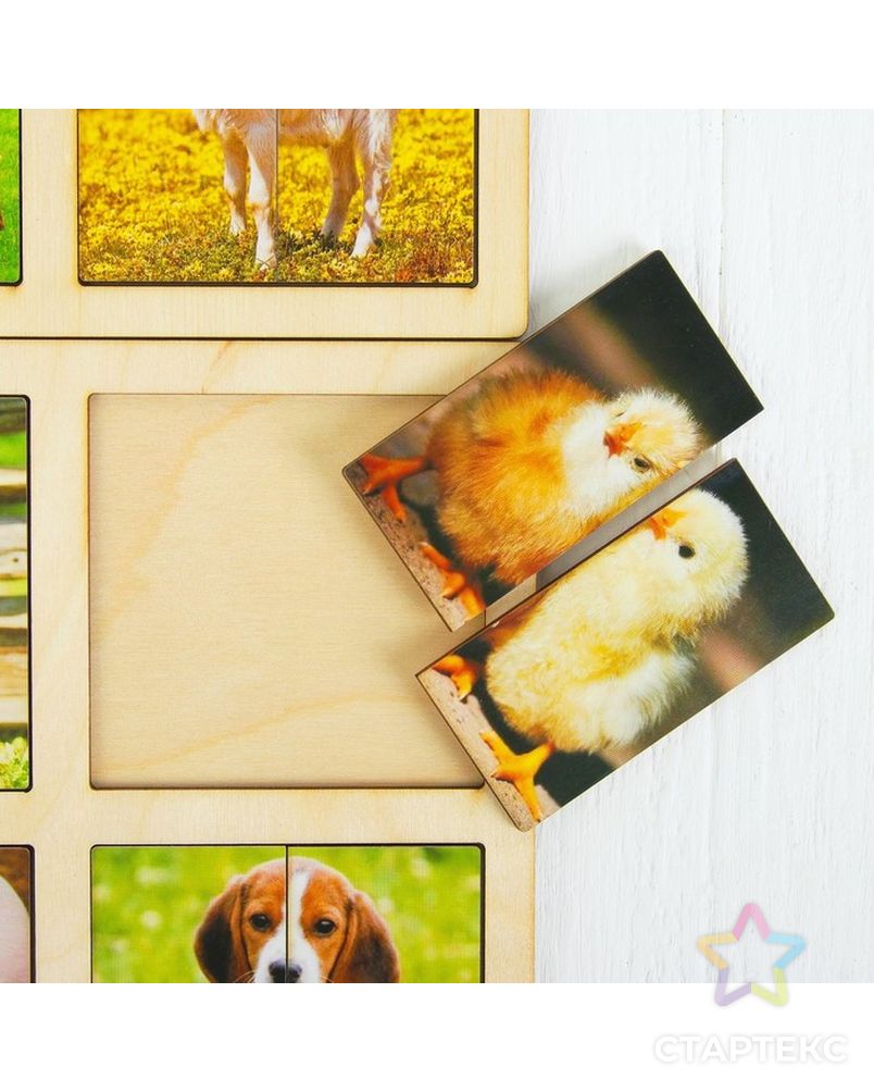 Картинки-половинки «Домашние животные», 2 планшета арт. СМЛ-104439-1-СМЛ0001187596 2