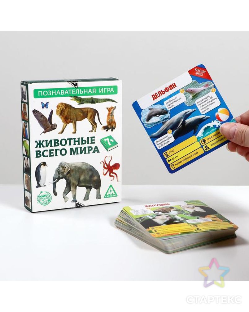 Игра-викторина «Животные всего мира» арт. СМЛ-113782-1-СМЛ0001243615