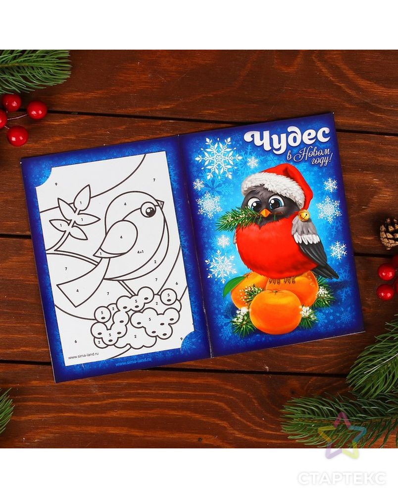 Новогодняя фреска на открытке "Снегирь", набор: песок 9 цветов 2гр, стека арт. СМЛ-898-1-СМЛ1275481 2