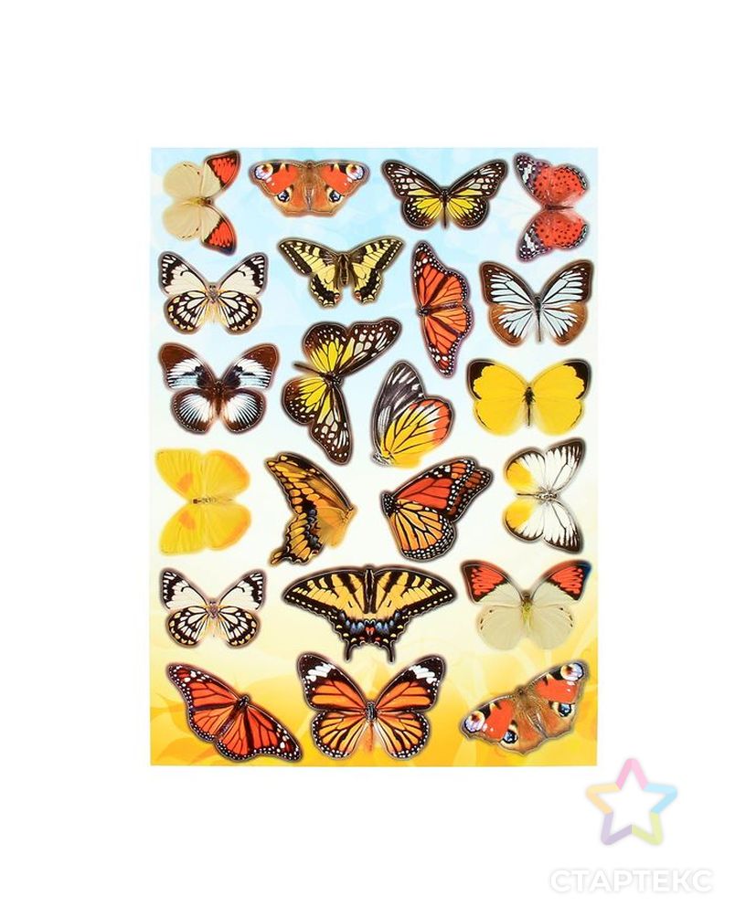 Наклейки Decoretto "Садовые бабочки" 35х50 см арт. СМЛ-203183-1-СМЛ0001302230 2