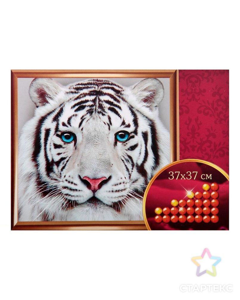 Алмазная вышивка с частичным заполнением "Белый тигр", 37 х 37 см арт. СМЛ-1235-1-СМЛ1426037 1