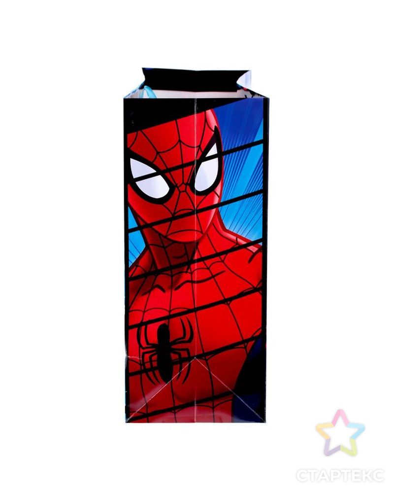 Пакет ламинированный горизонтальный "Супер подарок",Человек-паук , 61 х 46 х 20 см арт. СМЛ-45369-1-СМЛ0001433335 2