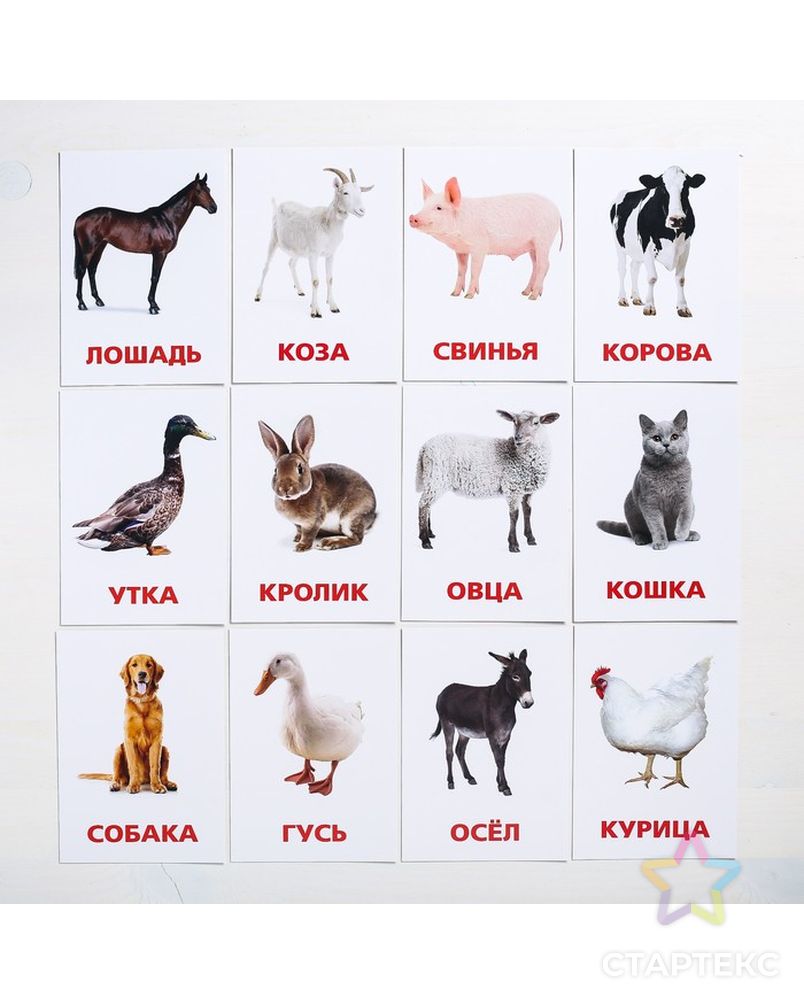 Карточки Домана домашние животные