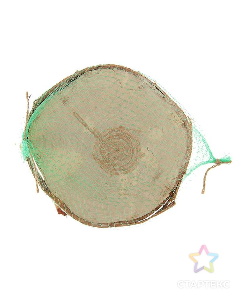 Спил березы, шлифованный с одной стороны, диаметр 15-20  см, толщина 2-3 см арт. СМЛ-25738-1-СМЛ1953865 2