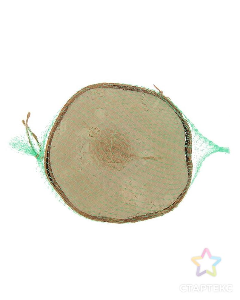 Заказать Спил березы, шлифованный с одной стороны, диаметр 20-25 см, толщина 1-3 см арт. СМЛ-2355-1-СМЛ1953866 в Новосибирске