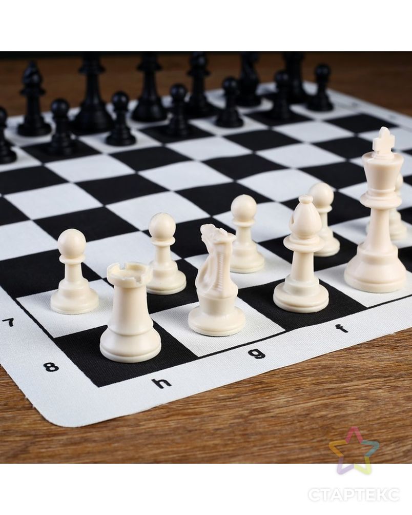 Шахматы в пакете, фигуры пластик (пешка h=4.5см, ферзь h=9.5см) + поле текстильное арт. СМЛ-45992-1-СМЛ0001976165 3