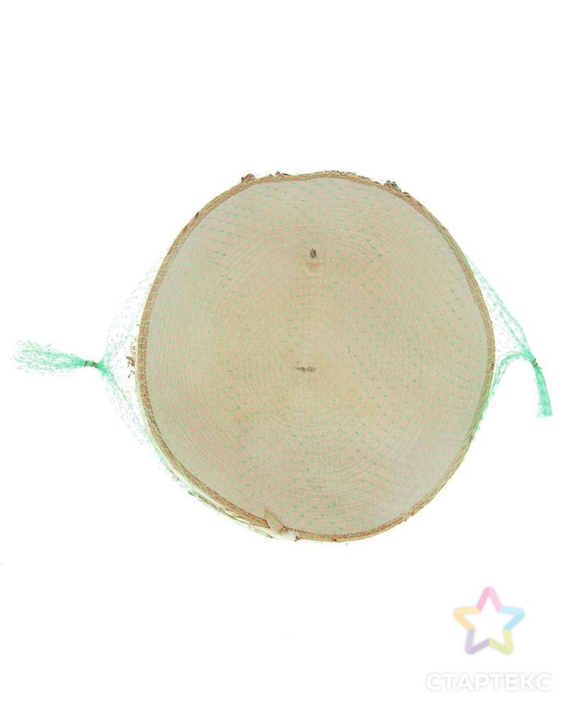Спил березы, шлифованный с одной стороны, диаметр 25-30 см, толщина 2-3 см арт. СМЛ-2536-1-СМЛ2046217 3