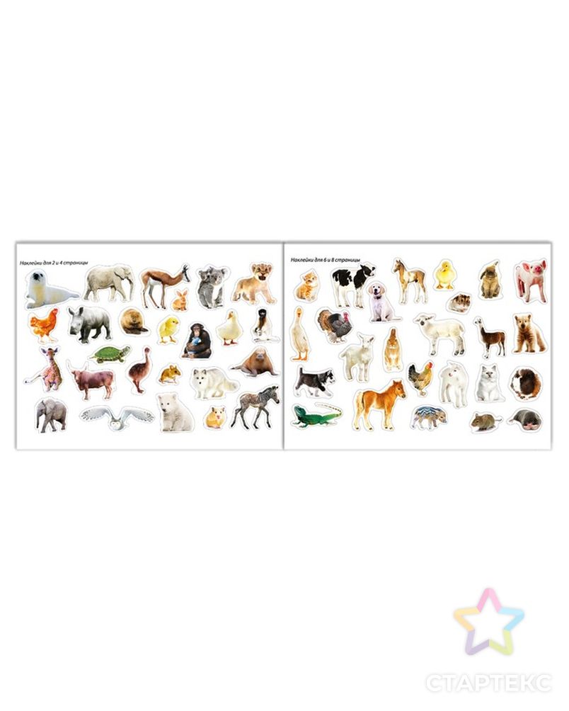 100 наклеек «Маленькие зверята», 12 стр. арт. СМЛ-223376-1-СМЛ0002105818 5