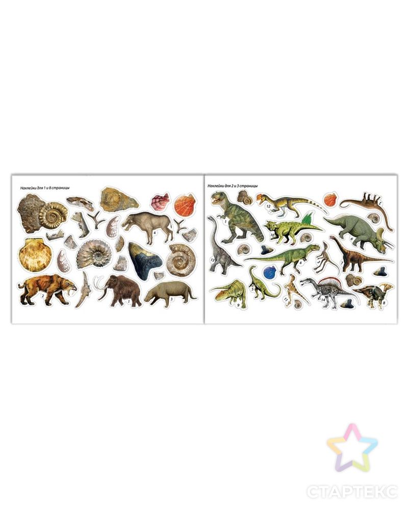 100 наклеек «Мир динозавров», 12 стр. арт. СМЛ-204058-1-СМЛ0002105820 4