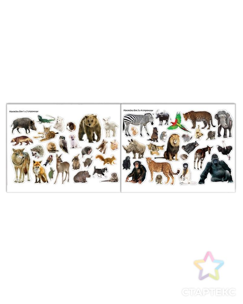 100 наклеек «Животные со всего света», 12 стр. арт. СМЛ-204059-1-СМЛ0002105821 4