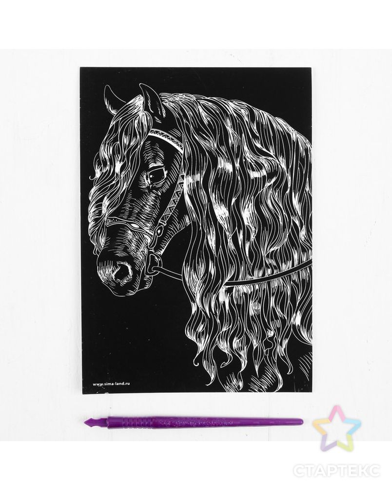 Гравюра "Лошадь" с металлическим эффектом серебра А5 арт. СМЛ-3172-1-СМЛ2112709 2