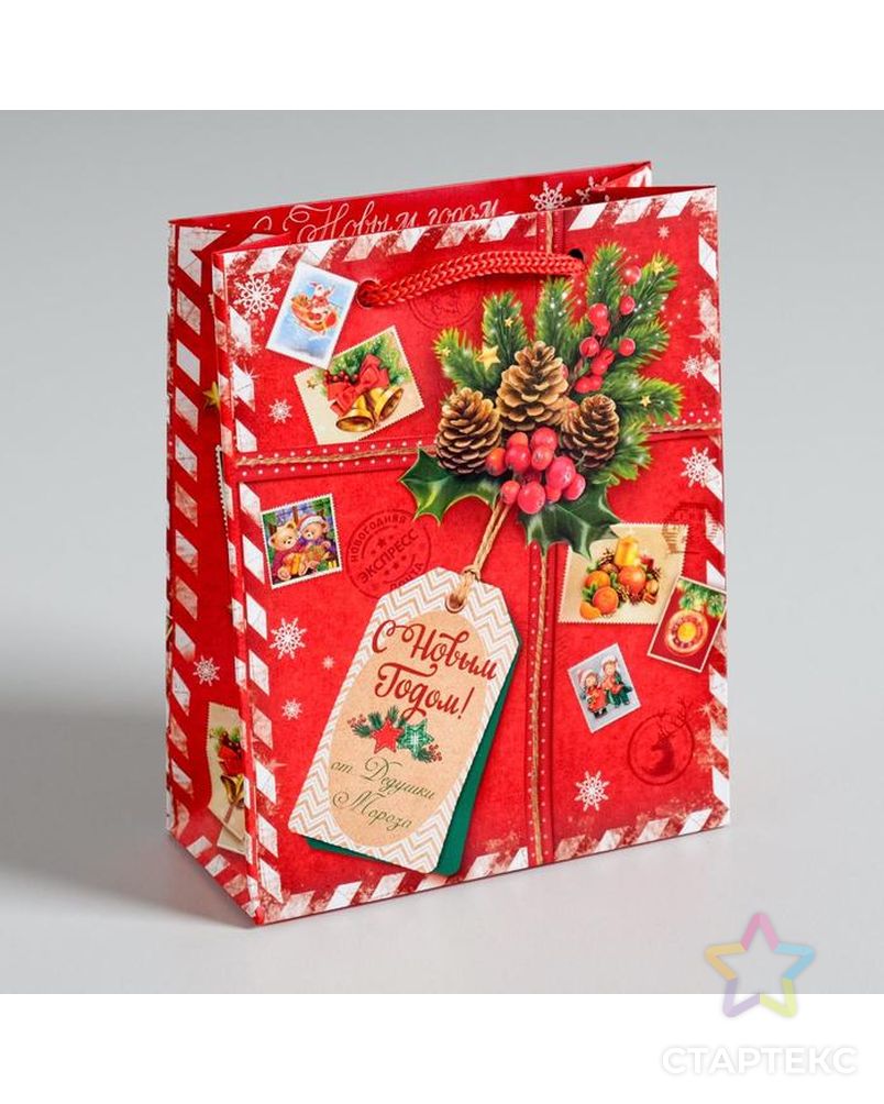 Пакет ламинированный вертикальный «Подарок от Деда Мороза», 12 × 15 × 5,5 см арт. СМЛ-95971-1-СМЛ0002113803 1