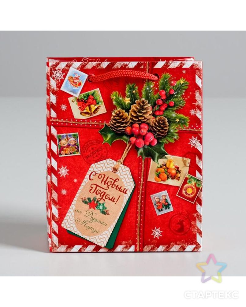 Пакет ламинированный вертикальный «Подарок от Деда Мороза», 12 × 15 × 5,5 см арт. СМЛ-95971-1-СМЛ0002113803 2
